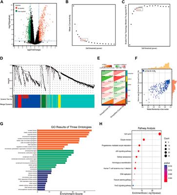 A novel gene signature based on the hub genes of COVID-19 predicts the prognosis of idiopathic pulmonary fibrosis